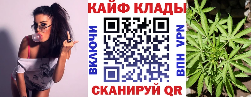 Галлюциногенные грибы Новоржев