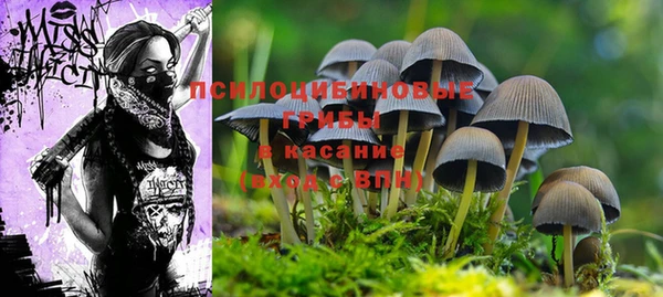 скорость mdpv Иннополис