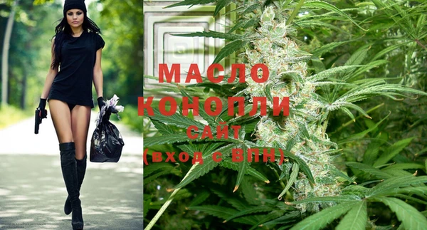 эйфоретик Инсар
